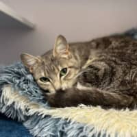 Photo of Marjorie