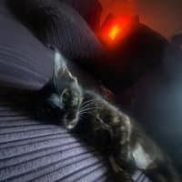 Photo of Heidi  🥰