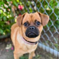 Photo of Jughead   Super Shy Boy
