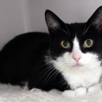 Photo of Lilo Sta013352