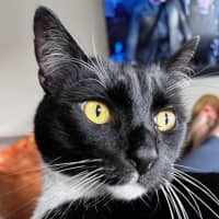 Photo of Jesse 