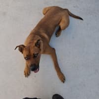 Photo of Bella 62/2026