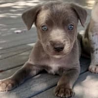Photo of Storm