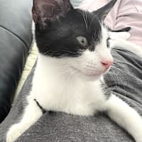 Photo of Hazel