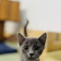 Photo of Wiggles 