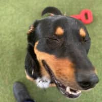 Photo of Bob