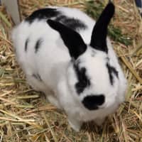 Photo of Andy & Astro