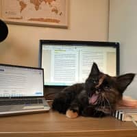 Photo of Reese's Pieces