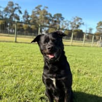 Photo of Fizz