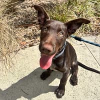 Photo of 🥯 Bagel 5769 🥯