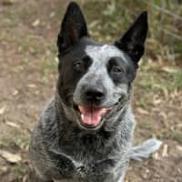 Photo of Lilly