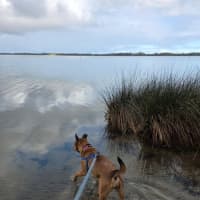 Photo of Lucy