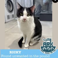 Photo of Ricky 