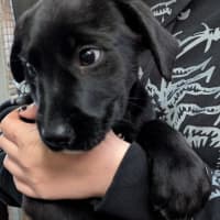 Photo of Lilly