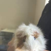 Photo of Spotty