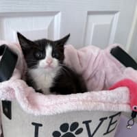 Photo of Addy 🌸🌸