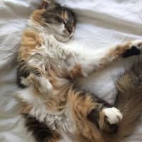 Photo of Buffy