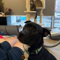 Photo of George Costanza