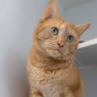 Photo of Narmi