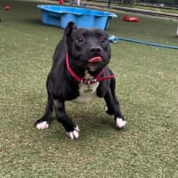 Photo of Lenny