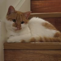 Photo of Matilda