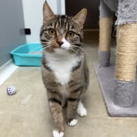 Photo of Phoebe