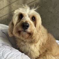Photo of Wanda