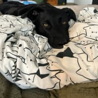 Photo of Sookie