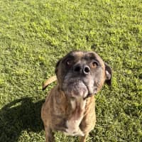 Photo of Cash