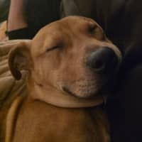 Photo of Mumble