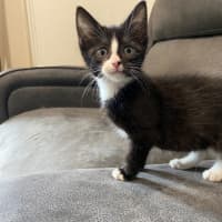 Photo of Miruku (Was Rice Bubble)