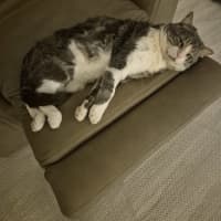 Photo of Tom