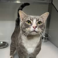 Photo of The Mayor Of Whoville