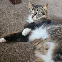 Photo of Princy