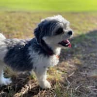 Photo of Belle And Hugo 