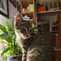 Photo of Francesca