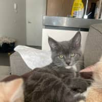 Photo of Stormi