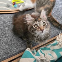 Photo of Sophie 🌺🌺