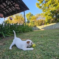 Photo of Jemima