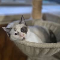 Photo of Dairy Queen