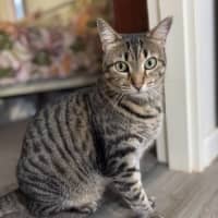 Photo of Kizzie
