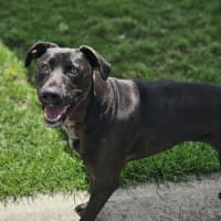 Photo of Phy (Phoebe Buffay)