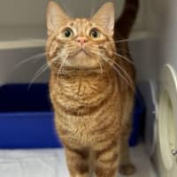 Photo of Clyde