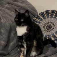 Photo of A Special Little Lady