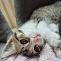 Photo of Amber & Arlee 🌷🌷