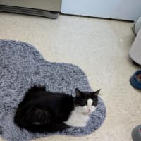 Photo of Miss Biccies