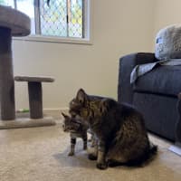 Photo of Tim Tam