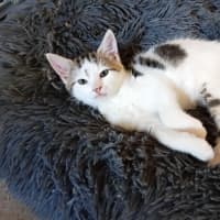 Photo of Buddy & Squeak