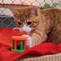 Photo of Diego Moriarty