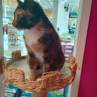 Photo of Mumma Patti 